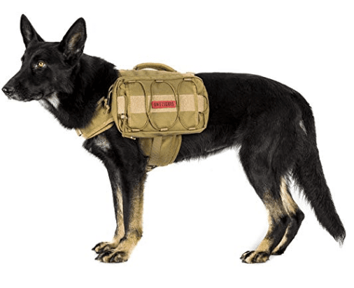 dog camping and hiking backpack in camping essentials for dogs // tread magazine