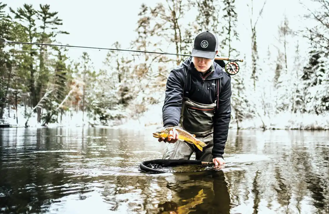 pulling fish out of water pulling fish out of water
