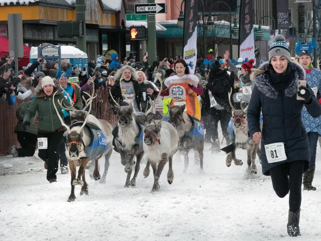 Running of the Reindeer to start the Iditarod race Running of the Reindeer to start the Iditarod race