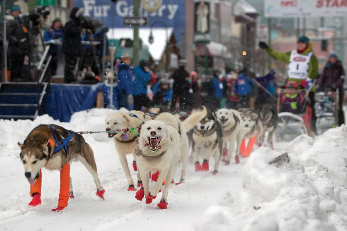 48th annual Iditarod dog sled races 48th annual Iditarod dog sled races