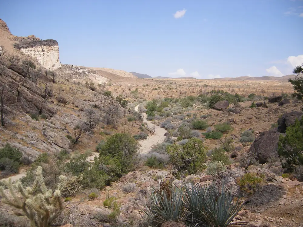 Mojave Road