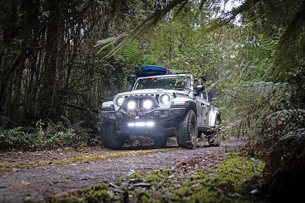 Rubicon driving through the rainforest