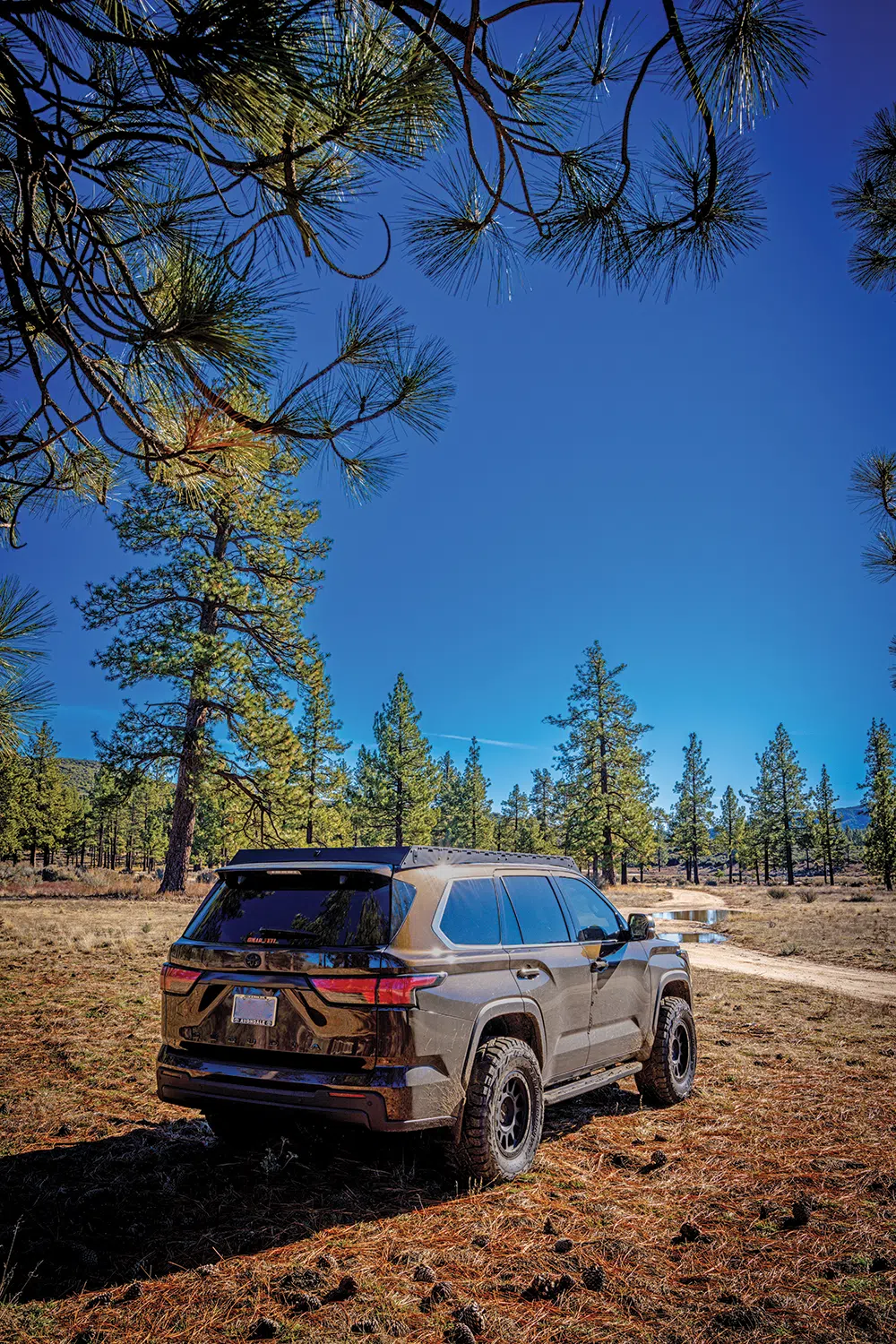 Always leave yourself a clear exit route back to the trail