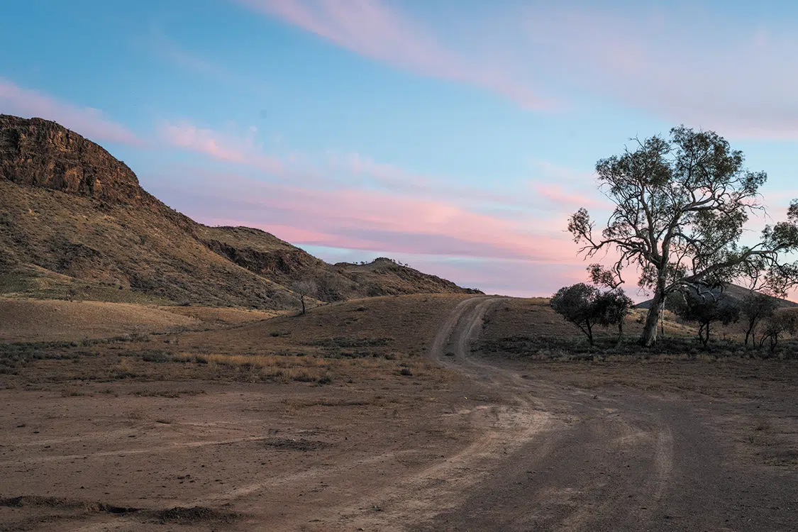 The lure of more tracks to explore was endless The lure of more tracks to explore was endless