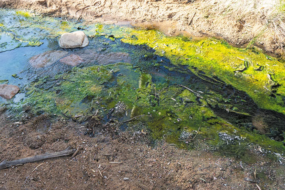 I had to strongly resist the urge to clean out the slime and jump in for a soak—it is radioactive. I had to strongly resist the urge to clean out the slime and jump in for a soak—it is radioactive.
