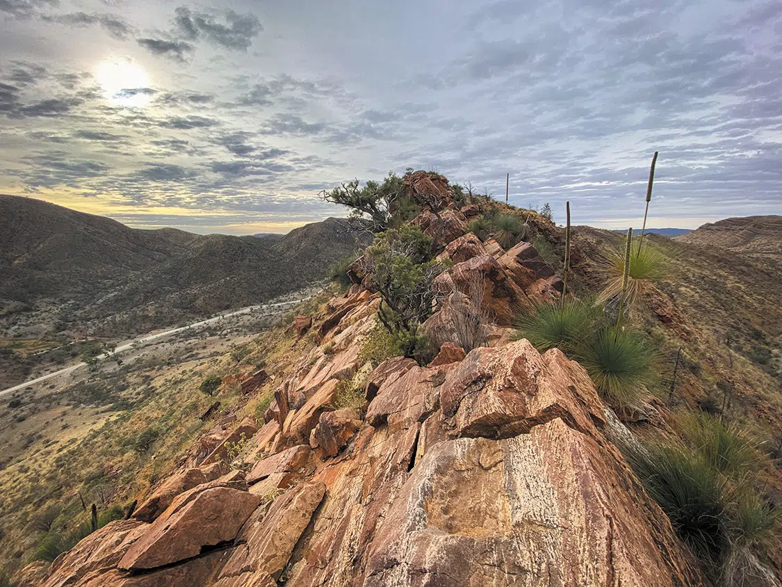 Hiking high above Arkaroola provided endless views in all directions Hiking high above Arkaroola provided endless views in all directions