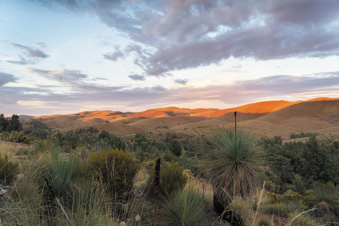 Sunset over the rolling foothills of the Flinders Ranges Sunset over the rolling foothills of the Flinders Ranges