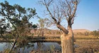 Northern Australia Adventure